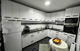 REDUCERE!!! Vilă 223 mp utili, teren 1.235 mp, Breasta