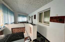 REDUCERE!!! Vilă 223 mp utili, teren 1.235 mp, Breasta