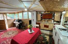 REDUCERE!!! Vilă 223 mp utili, teren 1.235 mp, Breasta