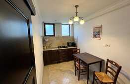 Apartament 2 camere, 58 mp, terasa 96 mp, zona Ciuperca 
