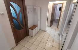 Apartament de 2 camere, 52 mp, mobilat/utilat, zona Electroputere Mall