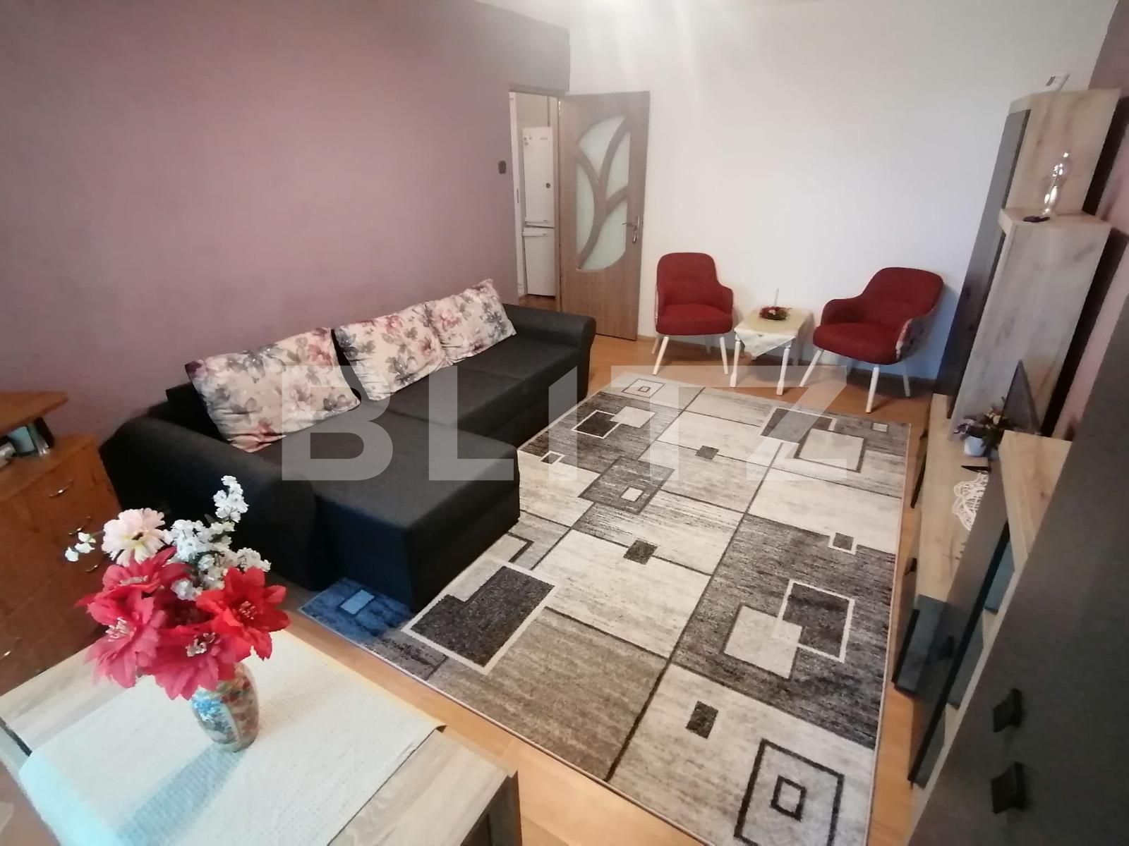 Apartament de închiriat 2 camere Lapus Arges - 90168AI | BLITZ Craiova | Poza2