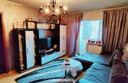 Apartament de 2 camere, etaj intermediar, zona Bigul Nou 