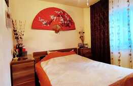 Apartament de 2 camere, etaj intermediar, zona Bigul Nou 