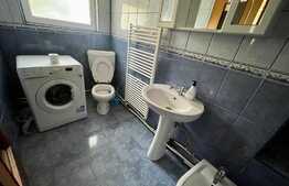 Apartament la curte, 2 camere, AC, zona Facultatea de Medicina