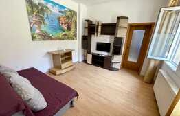 Apartament la curte, 2 camere, AC, zona Facultatea de Medicina