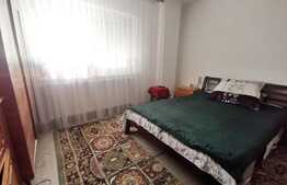 Apartament de 3 camere, decomandat, 75 mp utili, George Enescu (Smith)