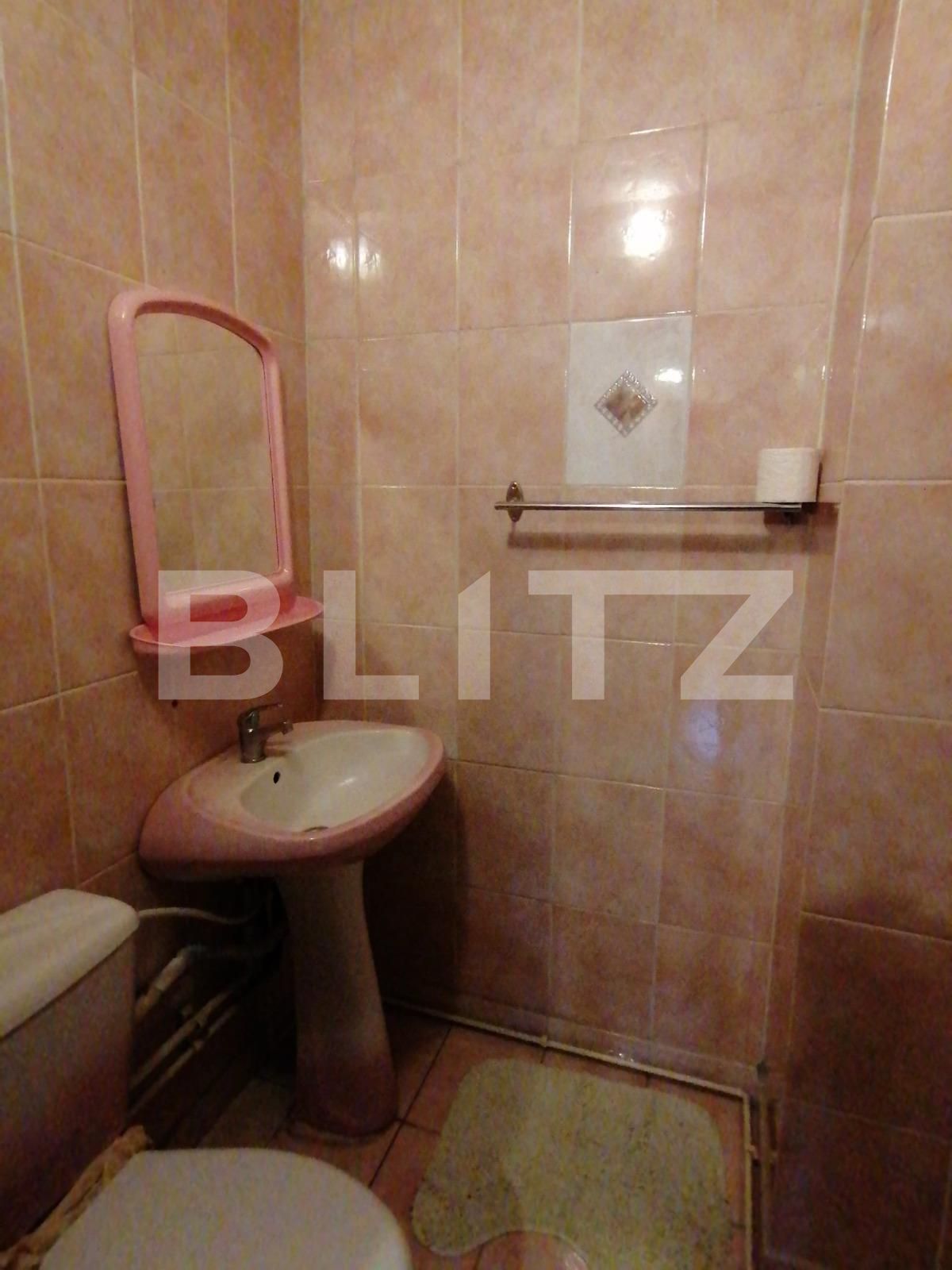 Apartament de închiriat 3 camere Lapus Arges - 90505AI | BLITZ Craiova | Poza12