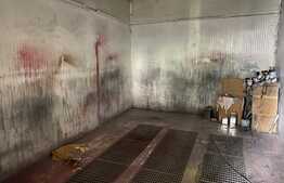 Afacere la cheie, Service Auto complet, teren 1200 mp, zona Centura de Nord