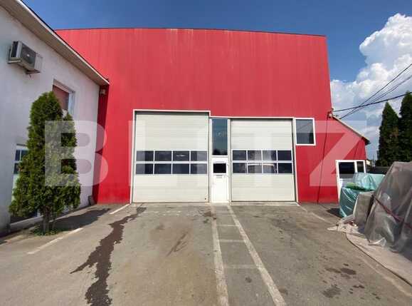 Spațiu industrial de vânzare Nord - 90655SVI | BLITZ Craiova | Poza1