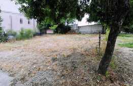 Oportunitate! Teren intravilan construibil, 169 mp, la strada principala, Severinului