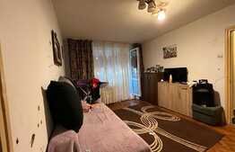 Ocazie! Apartament 2 camere, balcon, zona Brazda lui Novac 