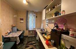 Ocazie! Apartament 2 camere, balcon, zona Brazda lui Novac 