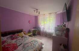 Ocazie! Apartament 2 camere, balcon, zona Brazda lui Novac 