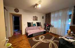 Ocazie! Apartament 2 camere, balcon, zona Brazda lui Novac 