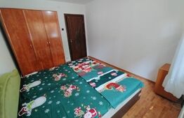 Apartament de 2 camere, centrala termica, zona Brazda
