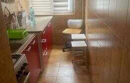 Apartament 2 camere, 45 mp, mobilat/utilat, zona Craiovita Noua