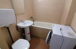 Garsoniera pet friendly, 32 mp, zona Brazda lui Novac