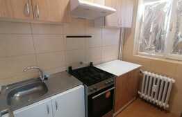 Garsoniera pet friendly, 32 mp, zona Brazda lui Novac