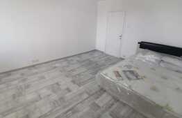 Garsoniera pet friendly, 32 mp, zona Brazda lui Novac