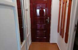 Garsoniera pet friendly, 32 mp, zona Brazda lui Novac