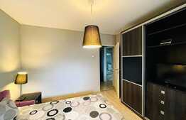 Apartament 2 camere, 55mp, aer conditionat, Brazda lui Novac