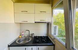 Apartament 2 camere, 55mp, aer conditionat, Brazda lui Novac