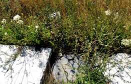  Teren 400mp, zona Popoveni