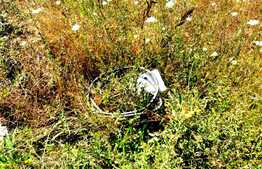  Teren 400mp, zona Popoveni