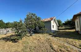 Casa batraneasca si teren de 8000 mp, Vulpeni
