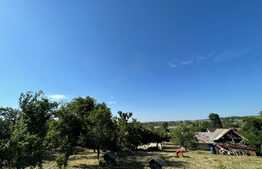 Casa batraneasca si teren de 8000 mp, Vulpeni