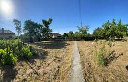 Casa batraneasca si teren de 8000 mp, Vulpeni