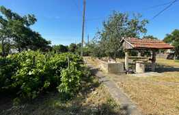 Casa batraneasca si teren de 8000 mp, Vulpeni