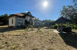 Casa batraneasca si teren de 8000 mp, Vulpeni