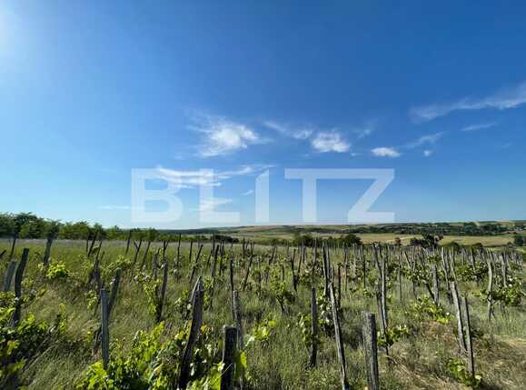 Casa de vânzare 5 camere Nord-Est - 91430CV | BLITZ Craiova | Poza7