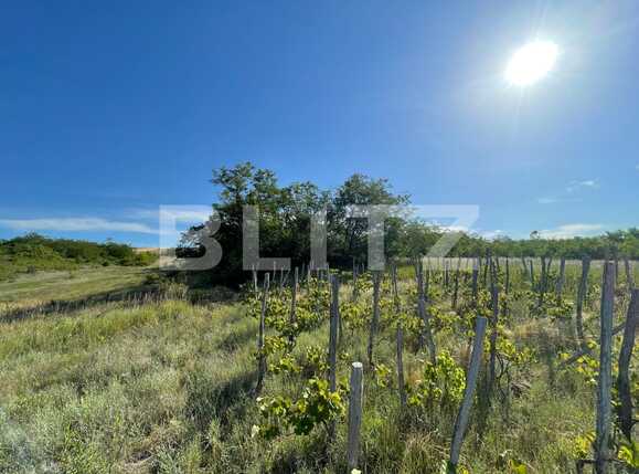 Casa de vânzare 5 camere Nord-Est - 91430CV | BLITZ Craiova | Poza8