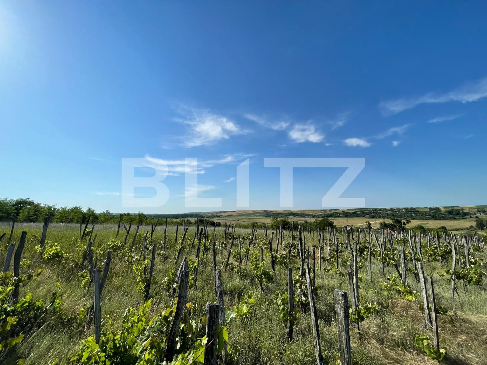 Casa de vânzare 5 camere Nord-Est - 91430CV | BLITZ Craiova | Poza7