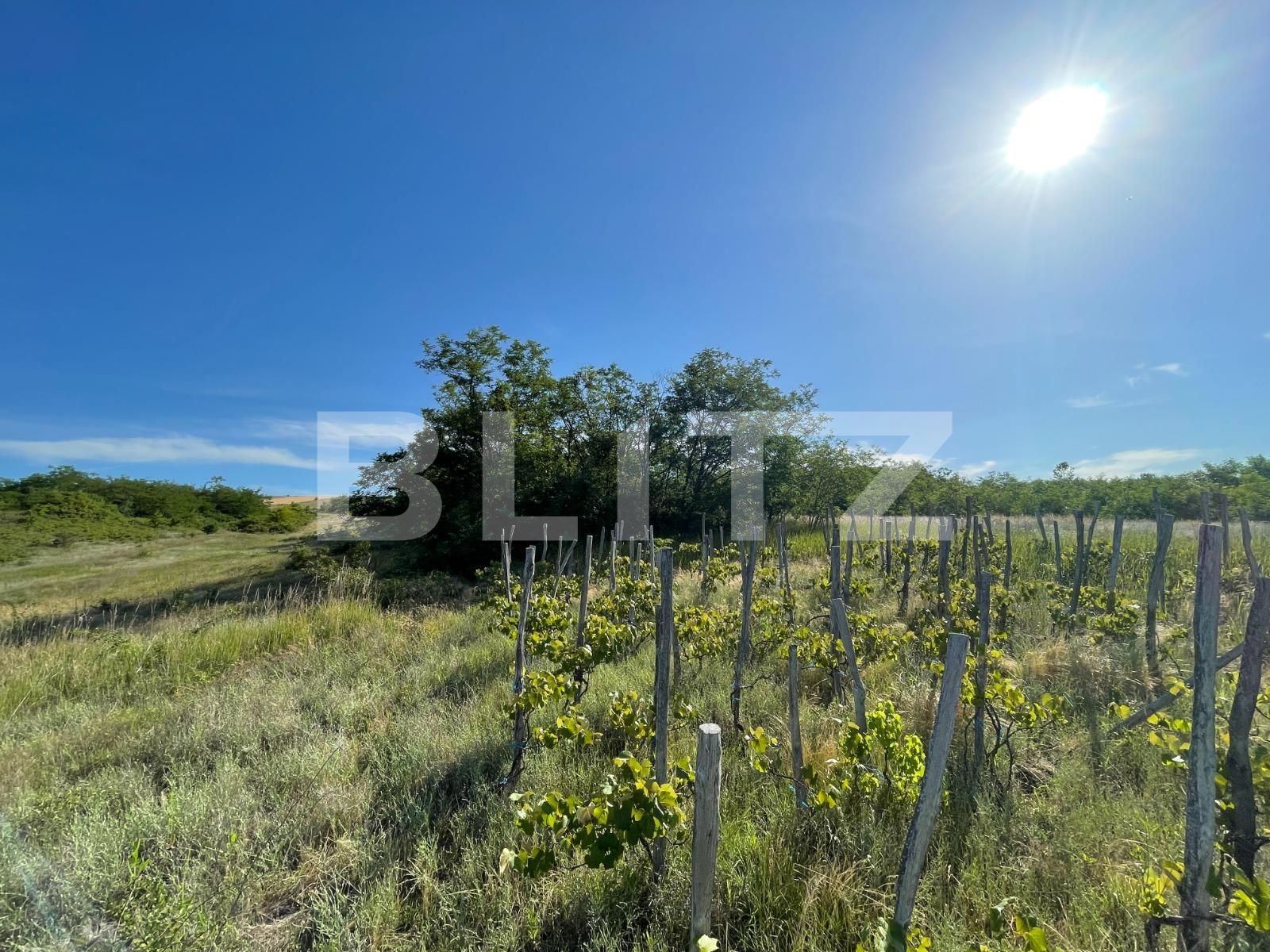 Casa de vânzare 5 camere Nord-Est - 91430CV | BLITZ Craiova | Poza8