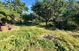 Casa si teren de 1217 mp, front 15 m, zona superba, Central