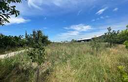 Parcela teren 3075 mp, Braniste 