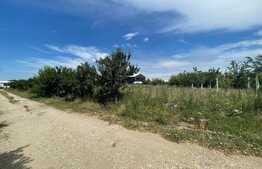 Parcela teren 3075 mp, Braniste 