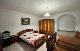 REDUCERE!!! Casă și spațiu comercial 414 mp utili, 498 mp teren, cartier Rovine