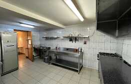 REDUCERE!!! Casă și spațiu comercial 414 mp utili, 498 mp teren, cartier Rovine