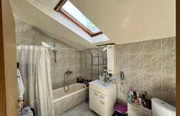 REDUCERE!!! Casă și spațiu comercial 414 mp utili, 498 mp teren, cartier Rovine