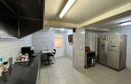 REDUCERE!!! Casă și spațiu comercial 414 mp utili, 498 mp teren, cartier Rovine