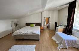 REDUCERE!!! Casă și spațiu comercial 414 mp utili, 498 mp teren, cartier Rovine