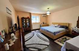 REDUCERE!!! Casă și spațiu comercial 414 mp utili, 498 mp teren, cartier Rovine