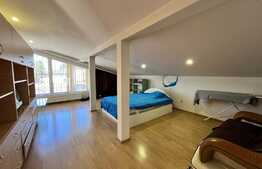 REDUCERE!!! Casă și spațiu comercial 414 mp utili, 498 mp teren, cartier Rovine