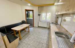 Apartament 3 camere, pet friendly, centrala proprie, Ac, 1 Mai