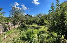 Teren intravilan 700 mp, toate utilitățile, Catargiu